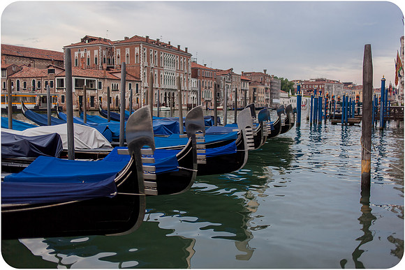 venice-anniversary-photographer-014
