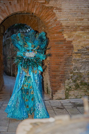 Couple in colorful costumes standing against ancient stone walls in Venice