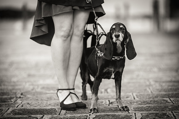 Woman walking with her dog along Venice shoreline.