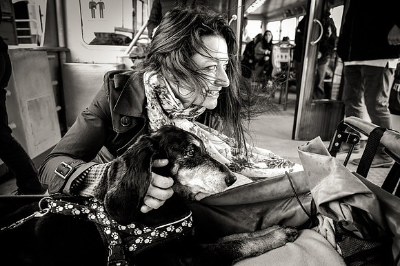 Woman with her dog at a Venice café.