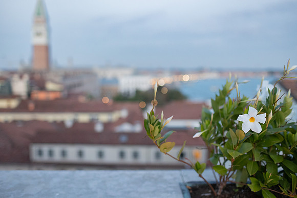 Venetian skyline seen from a rooftop terrace